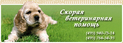 «ЛитВет» - Скорая ветеринарная помощь (Москва и подмосковье)