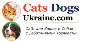 Сайт для кошек и собак с заботливыми хозяевам