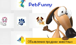 PetsFunny.ru - сайт объявлений о животных